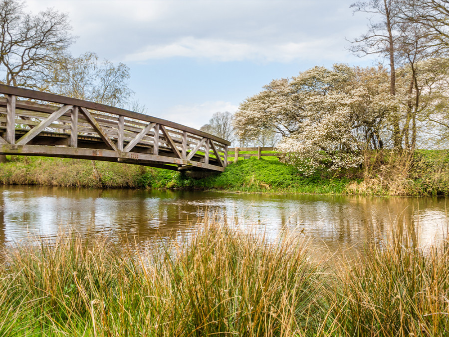 Natuur in Overijssel