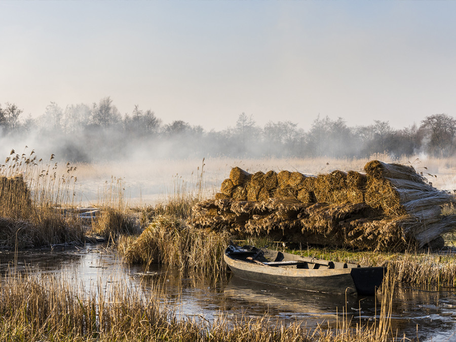 Natuurgebieden Overijssel