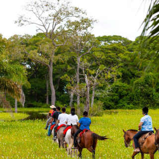 Afbeelding voor Booking.com - Accommodaties Pantanal