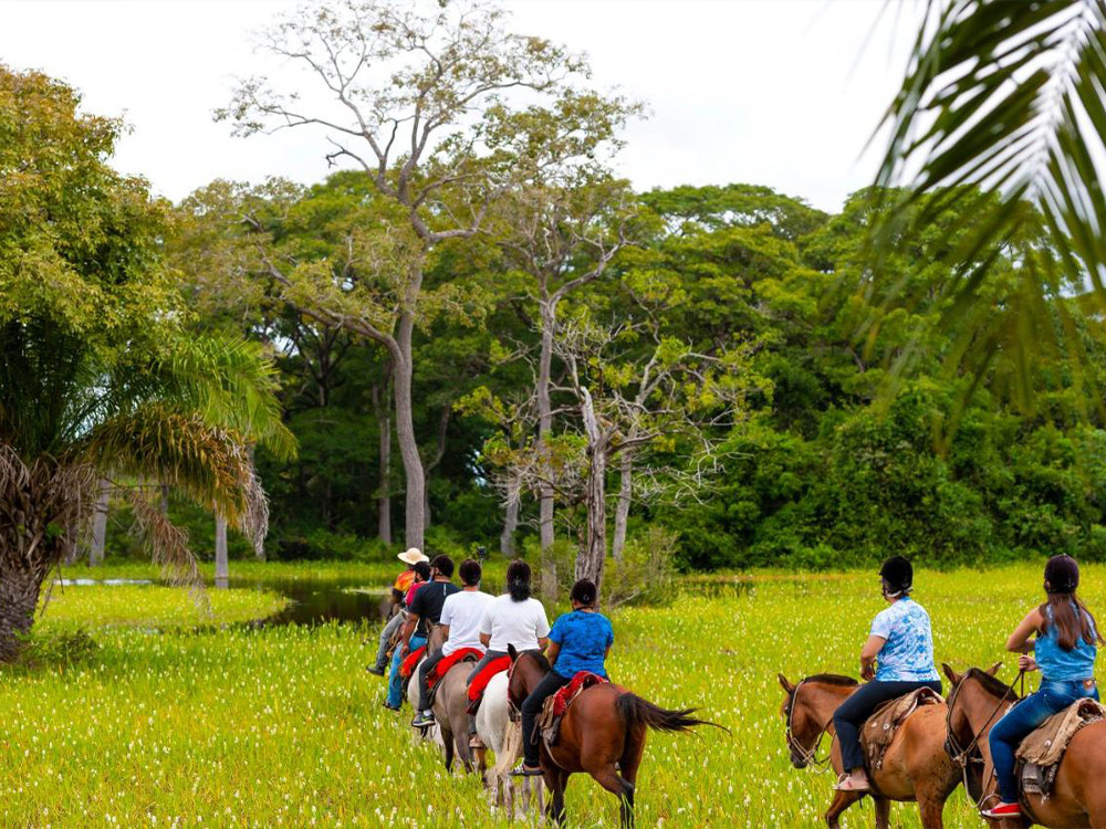 Overnachting en excursies Pantanal