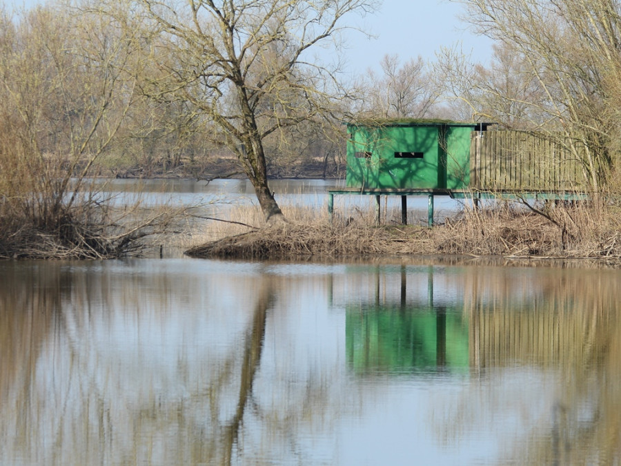 Vogels kijken