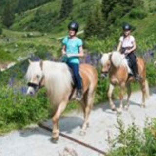 Afbeelding voor Landal Greenparks - Paardrijden