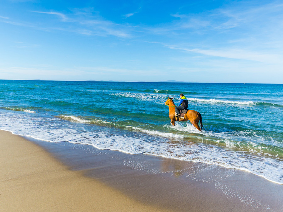 Langs de kust te paard