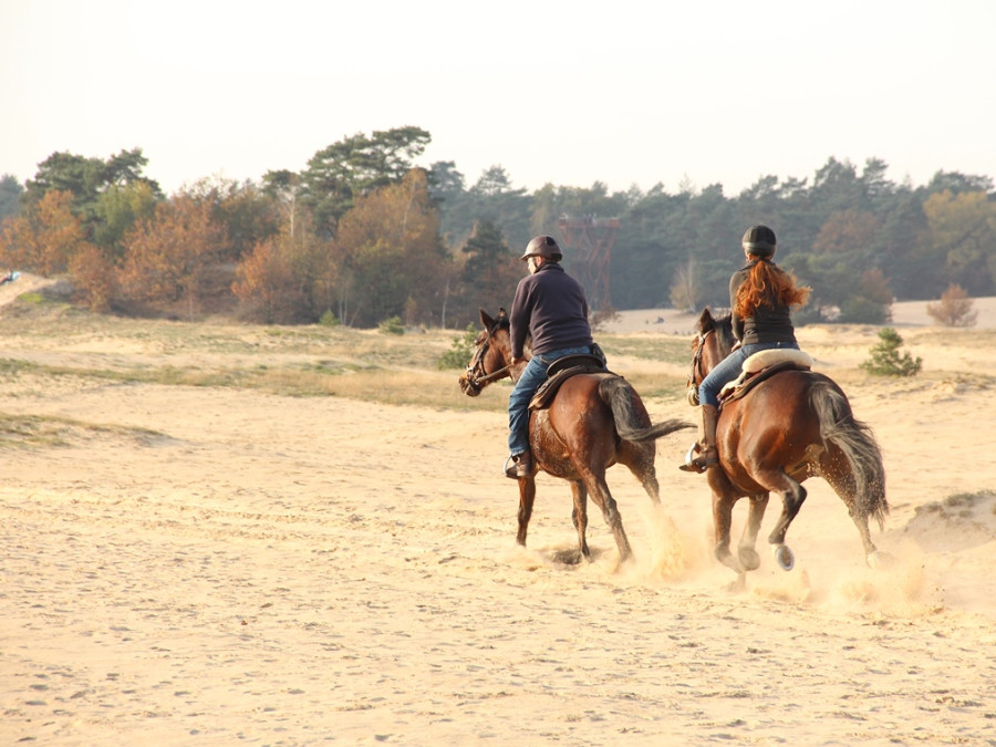 Paardrijden Kootwijkerzand