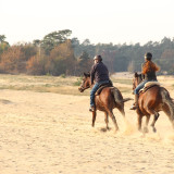 Afbeelding voor Paardrijden in Nederland