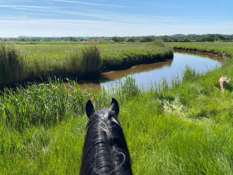 Paardrijden Atlantische kust