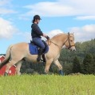 Afbeelding voor Book Horse Riding Holidays