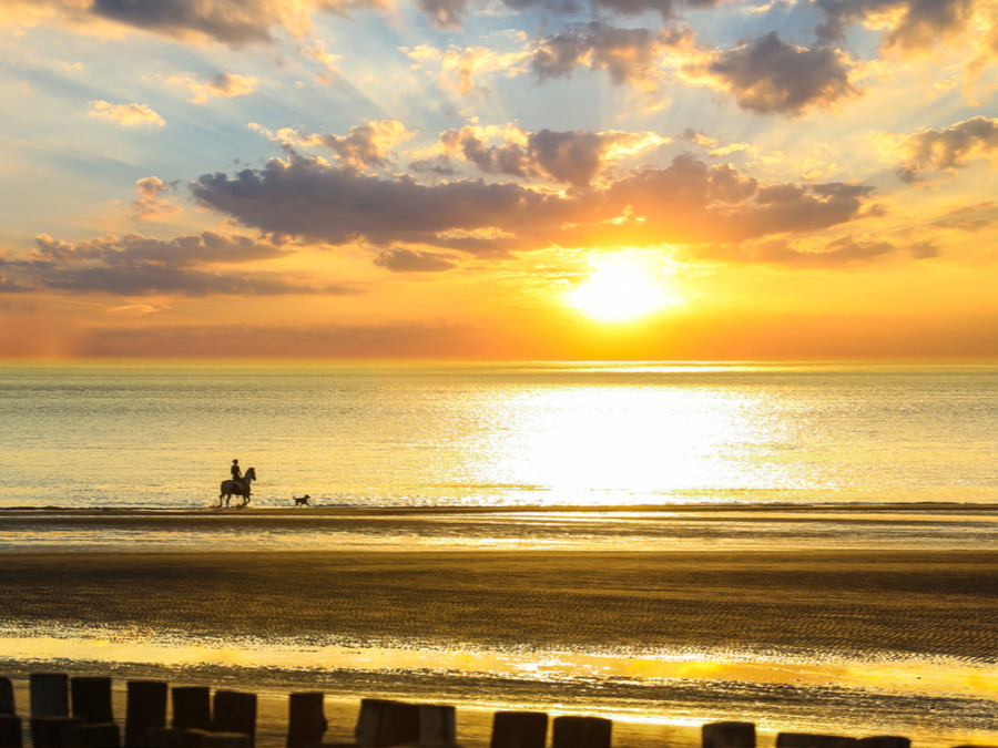 Paardrijden aan de kust