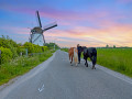 Vakantie met paarden in Nederland