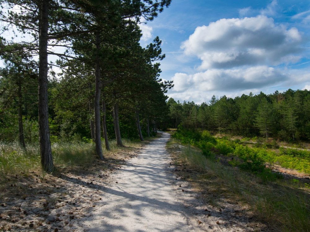 Wandelen in het Schoorls duingebied