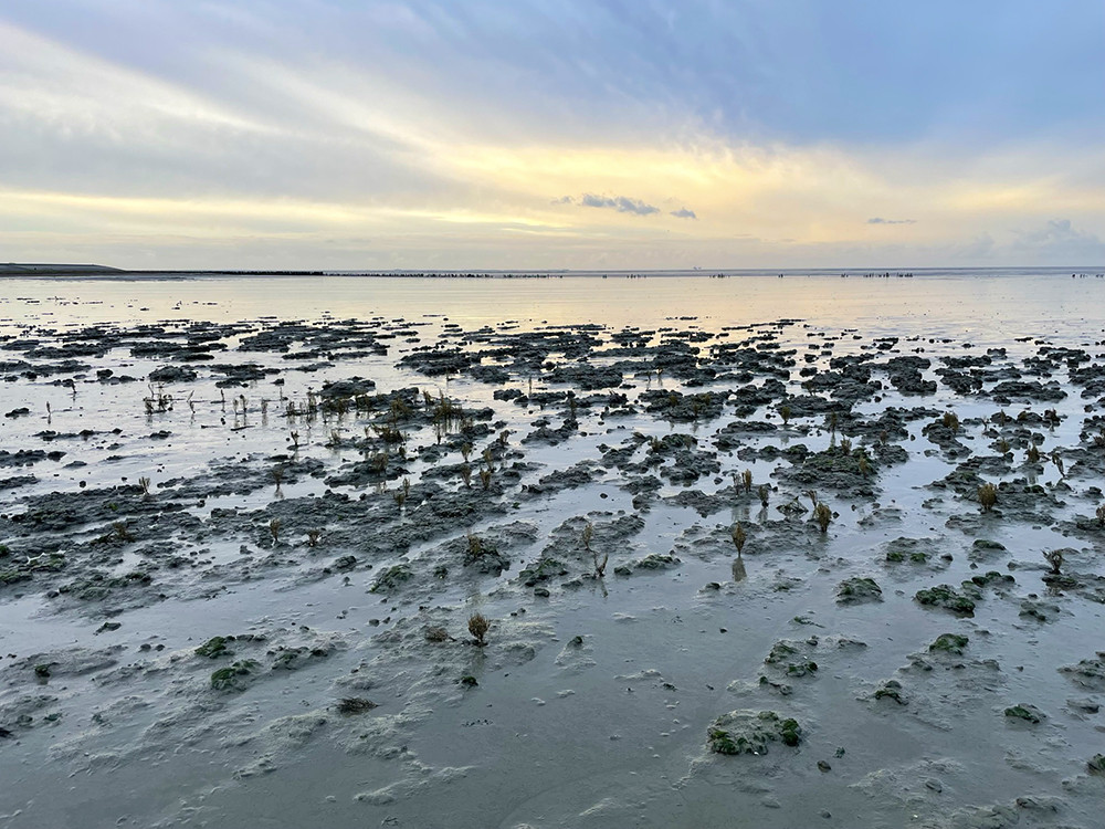 De Friese Waddenkust in de winter