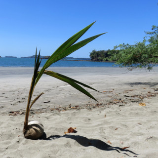 Afbeelding voor Isla Boca Brava