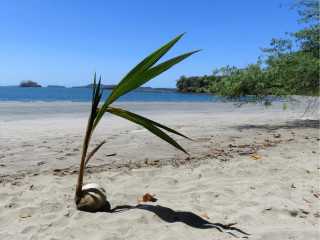 Afbeelding voor Isla Boca Brava