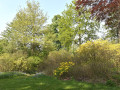 Park van Beervelde