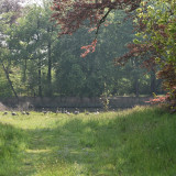 Afbeelding voor Parken in Gent