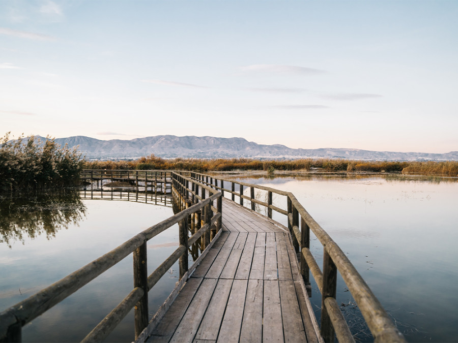 Natuur provincie Alicante