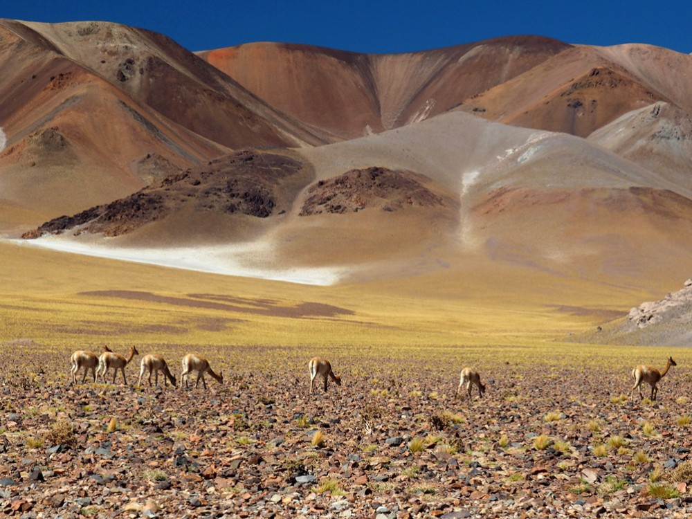 Natuur Argentinië