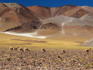 Afbeelding voor Argentinië