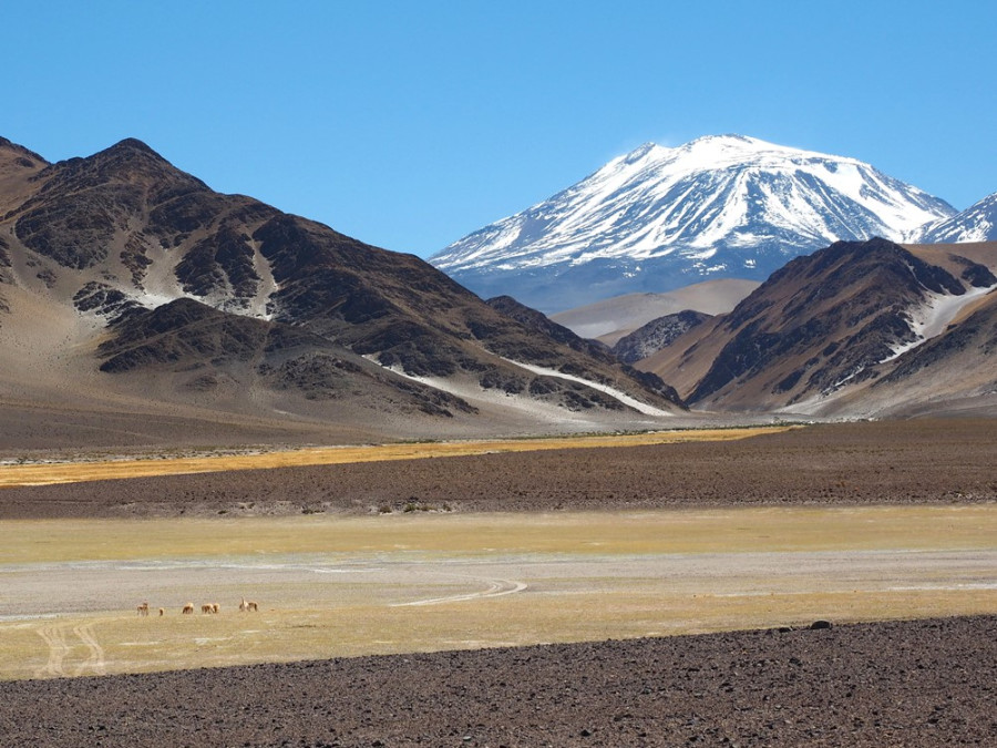 Noord-Argentinie hoogtepunten