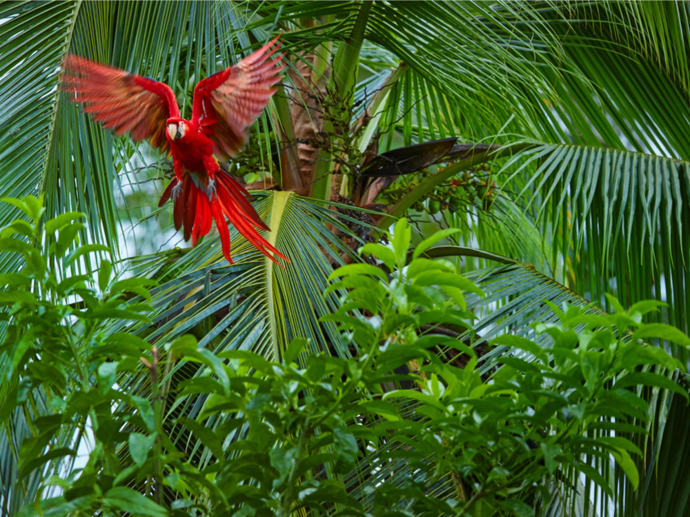 Natuur in Peru