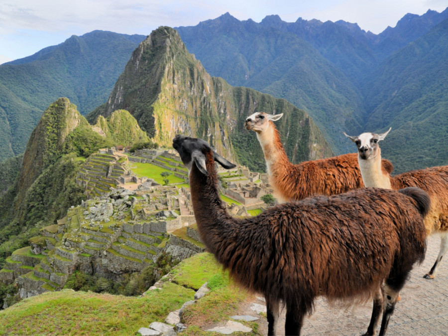 Machu Picchu bergen Machu Picchu bergen