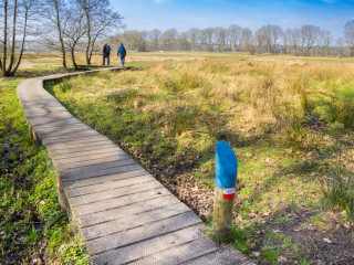 Afbeelding voor Pieterpad