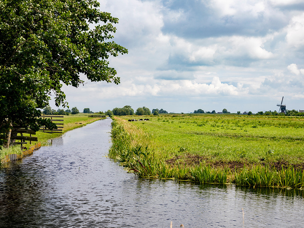 Reeuwijkse Plassen