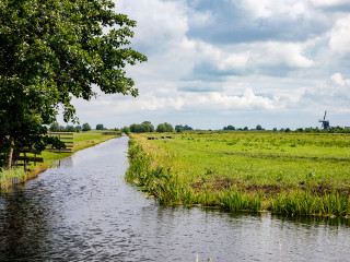 Afbeelding voor Reeuwijkse Plassen