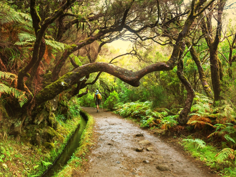 Levada op Madeira