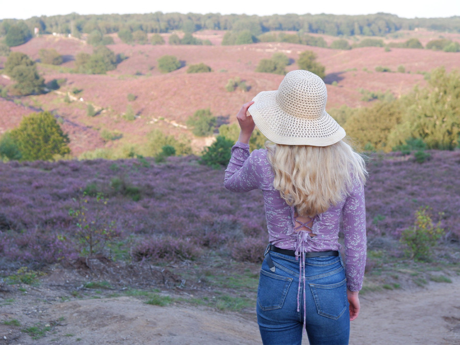 Wandelen op de Posbank