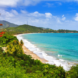 Afbeelding voor Puerto Rico natuur