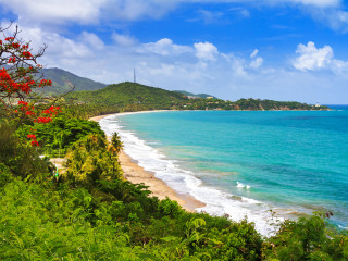 Afbeelding voor Puerto Rico natuur