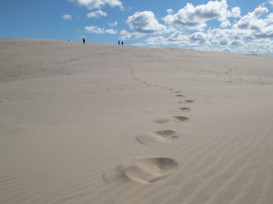 Duinen bij Rabjerg Mile