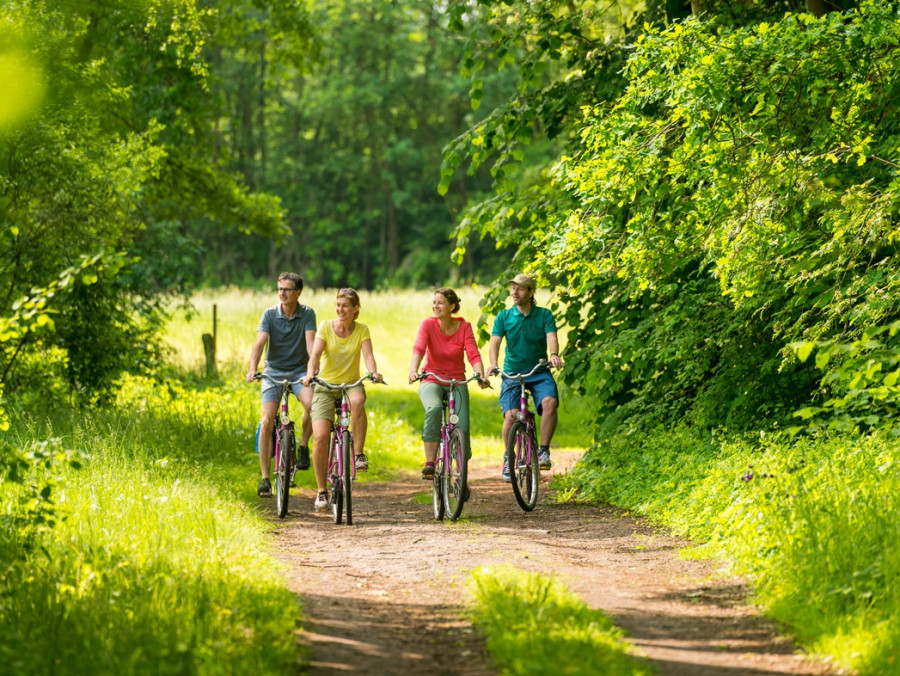 Fietsers in de heideregio Uelzen