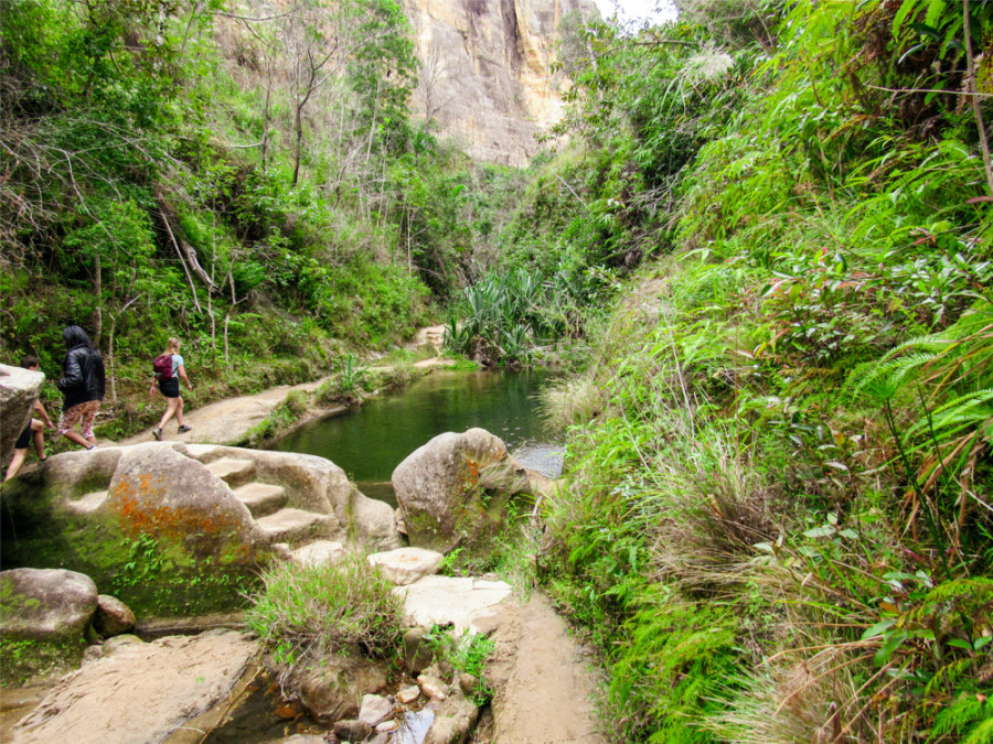 Bossen in Madagaskar