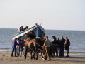 Waddeneilanden