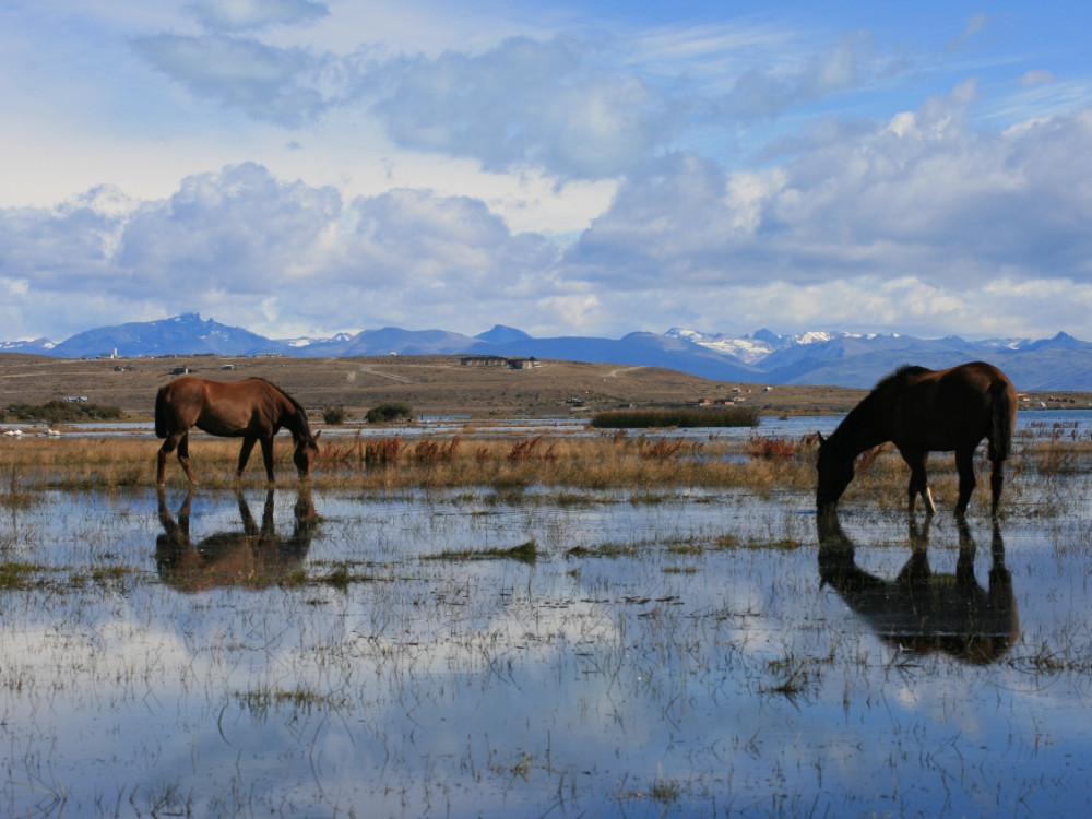 Patagonië