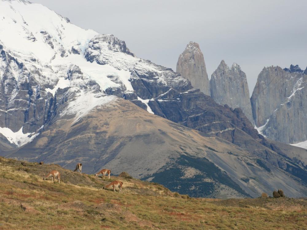 Torres del Paine 1