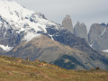 Torres del Paine 1