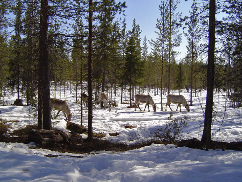 Pyhatunturi, Finland