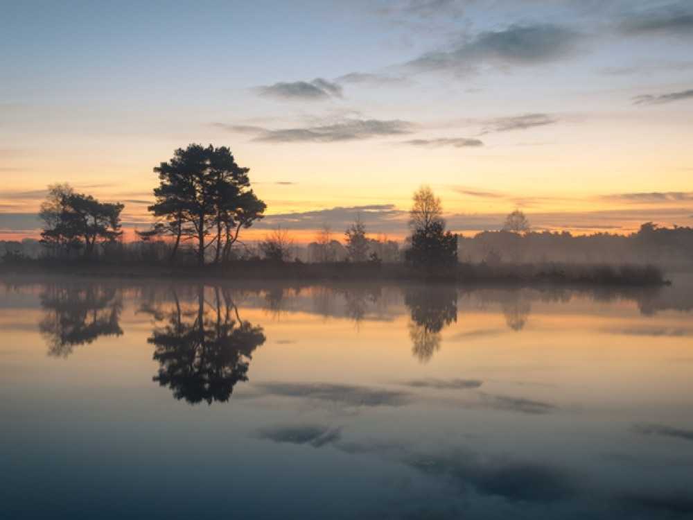 Natuur Kalmthoutse Heide