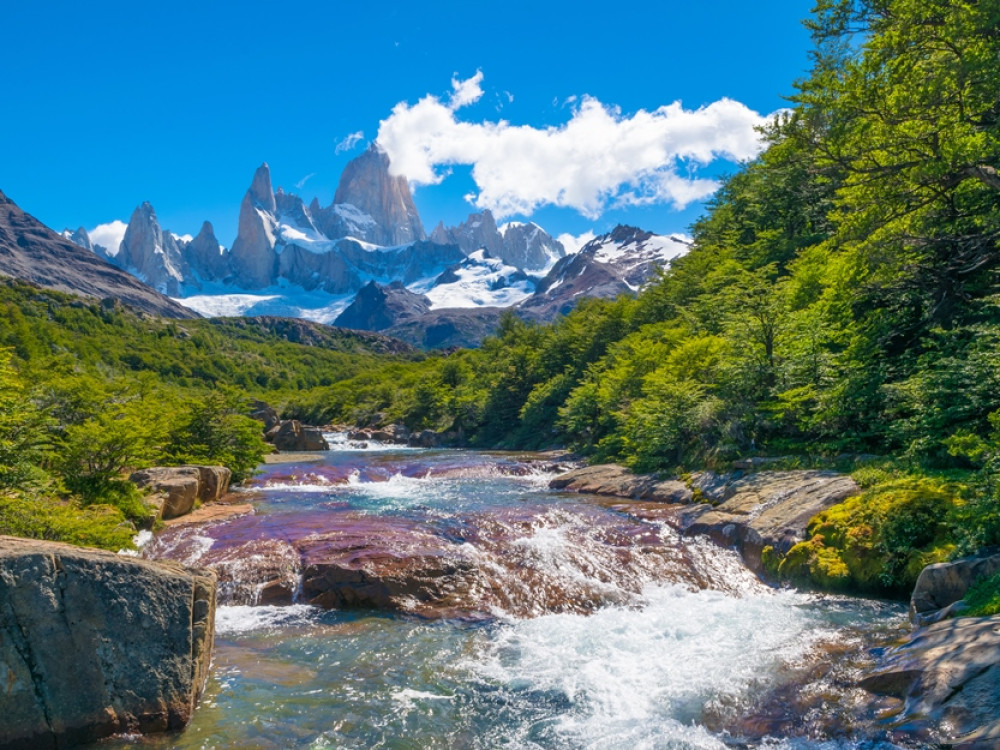 Fitz roy