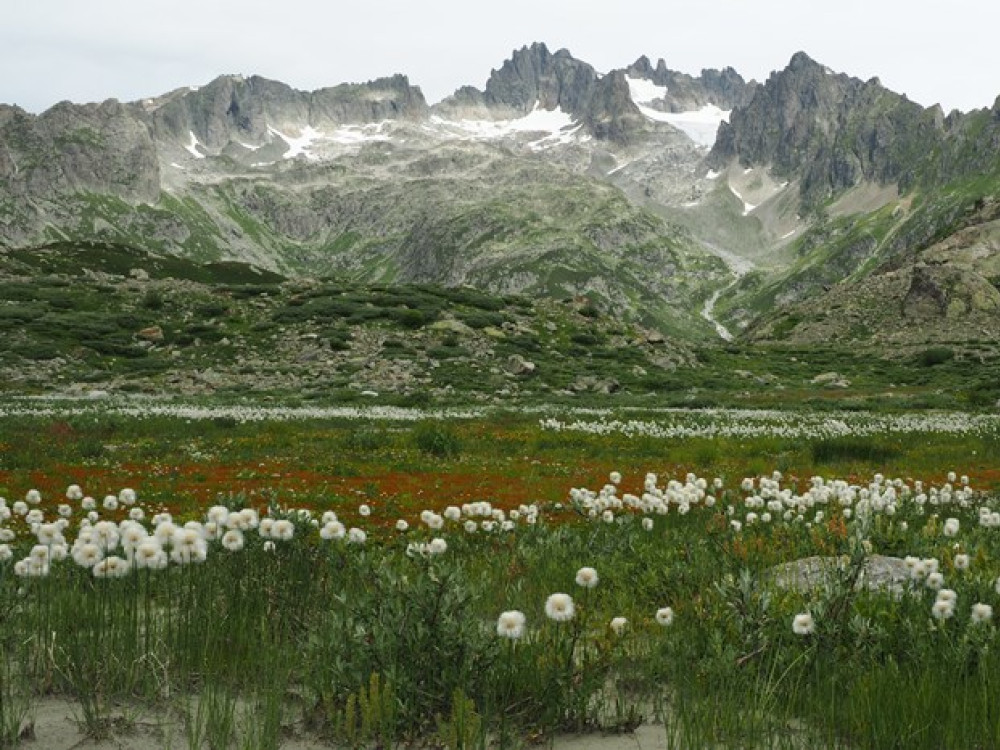 Steingletsjer, Zwitserland