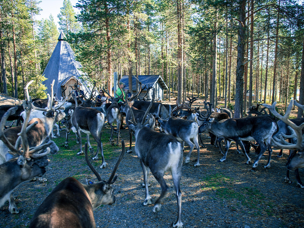 Salla Wilderness Park