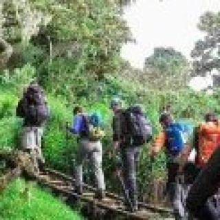 Afbeelding voor Riksja Tanzania - Bouwsteen Mount Meru