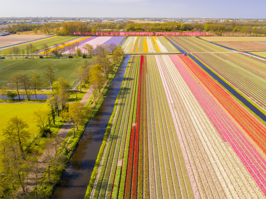 Autoroutes Bollenstreek