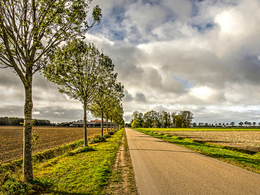 Roadtrip door Flevoland
