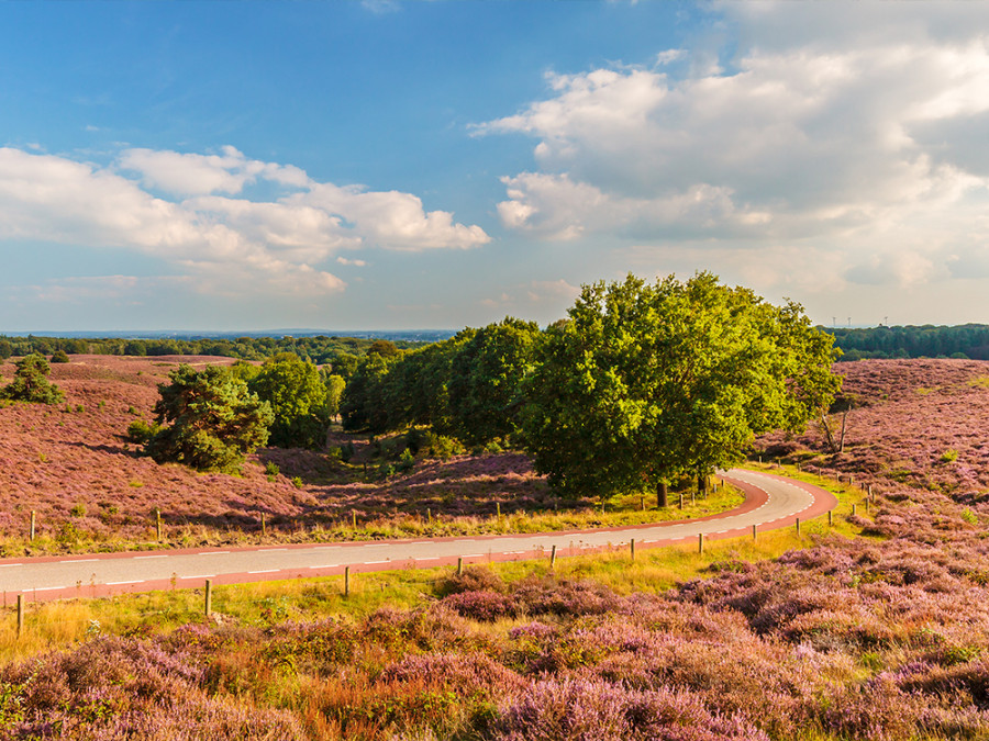 Roadtrip Veluwe