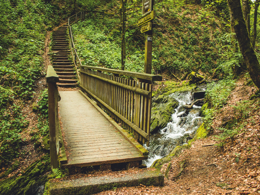 Rothaargebirge Sauerland