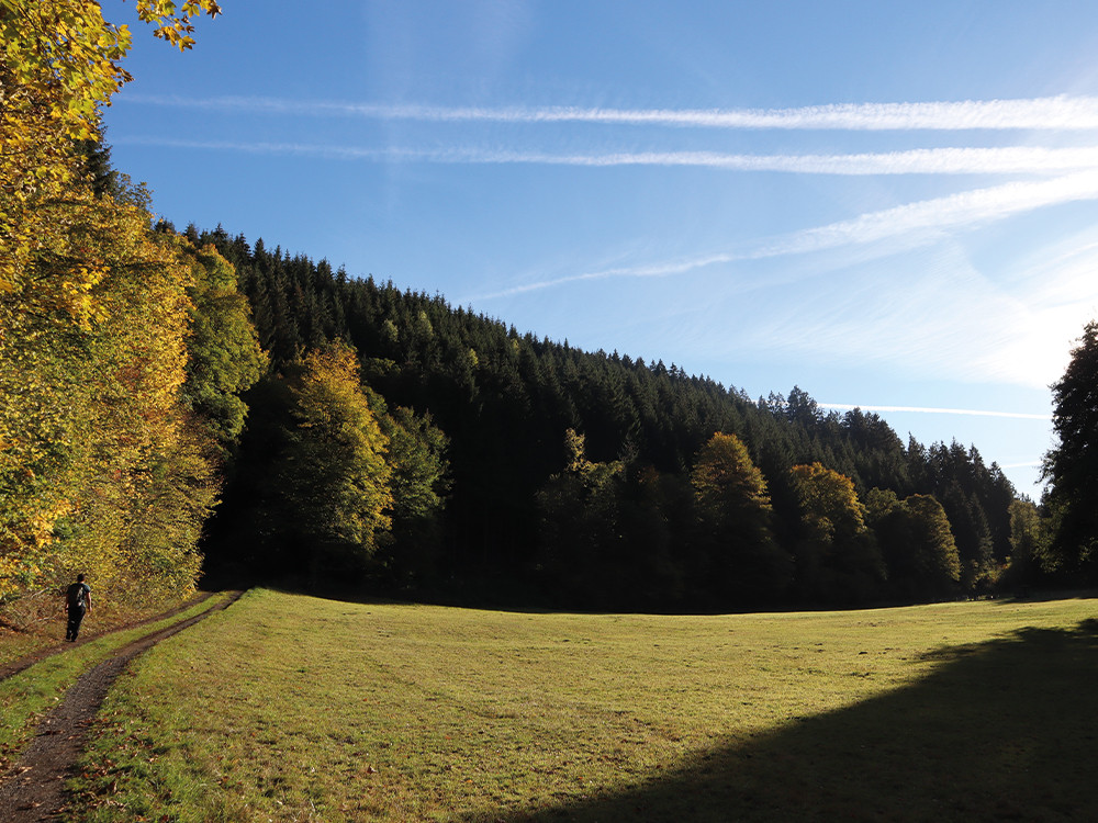 Wandelen in Sauerland